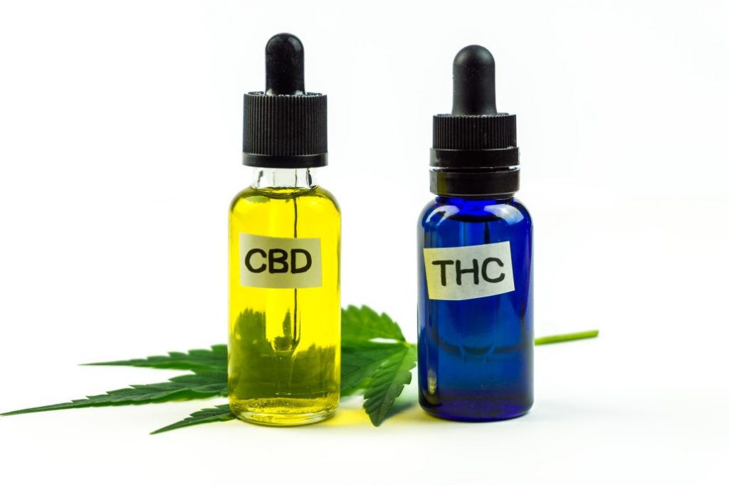 CBD vs THC